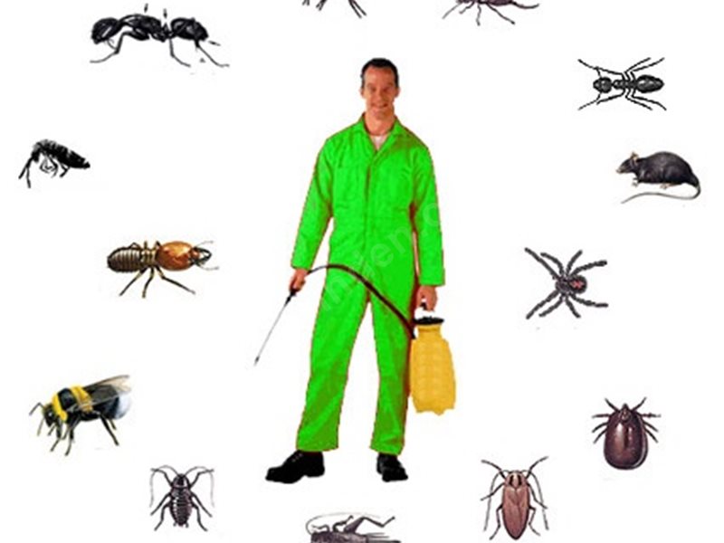 Köyceğiz Böcek İlaçlama